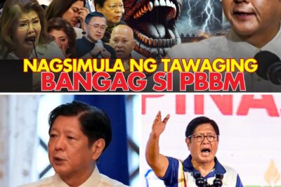 TOTOO ANG BIBLIA! NAGSISI NA SILANG TINAWAG NA BANGAG SI PBBM?!