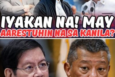 Aarestuhin ng Senador? Isang Kwento ng Pagbagsak at Pag-asa