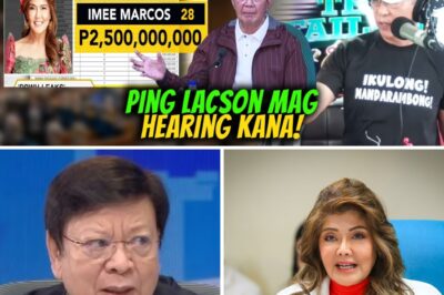 Ituloy ang Hearing sa Blue Ribbon! Buking ang Project Wishlist ni Imee Marcos!