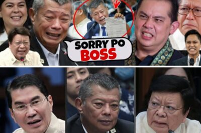 🔥 MATINDI TO! GRABE! UMAMIN NA!? KAKAPASOK LANG: BREAKING NEWS! HALA REMULLA! SHOCK LAHAT!