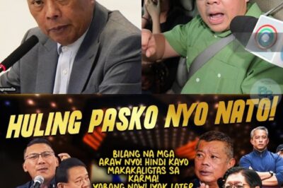 Sa Gitna ng Huling Pasko: Ang Matinding Pasabog ni Cardema na Yumanig sa Mundo ng Kapangyarihan