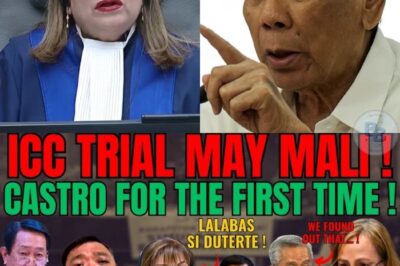 Lihim sa Likod ng ICC Trial: Castro at Trillanes Nagbabanggaan, Cabral Naglabas ng Rebelasyong Maaaring Magpabagsak sa Lahat!