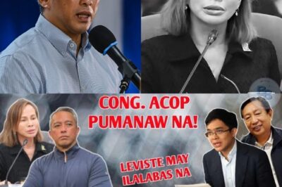 “Hindi Ito Isang Karaniwang Pagpanaw”: Ang Pagputok ng Galit ni Jonvic Remulla at ang Misteryosong Kamatayan ni Usec. Cabral