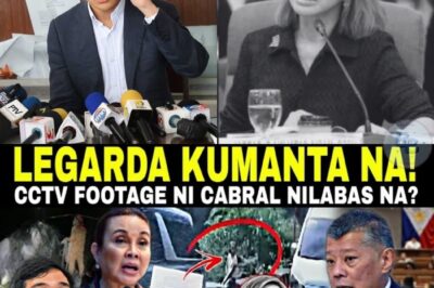 Ang Video na Hindi Dapat Lumabas: Pagbibitiw ng Ombudsman, ang CCTV ni Cabral, at ang Papel ni Legarda Leviste sa Isang Lihim na Nagpayanig sa Bansa