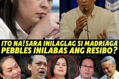 Pasabog na Rebelasyon: Sa Wakás Nagsalita si Sara sa Pagkakadawit kay Madriaga, Resibo ni Pebbles Naglantad ng Matinding Katotohanan