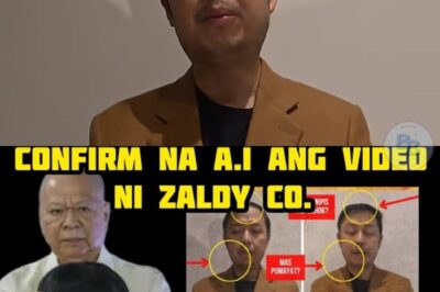 THE BIG V — Ang Misteryosong Paghinto ni Zaldy Co sa Paggawa ng Video: Bistado na ba ng A.I. ang Lahat?