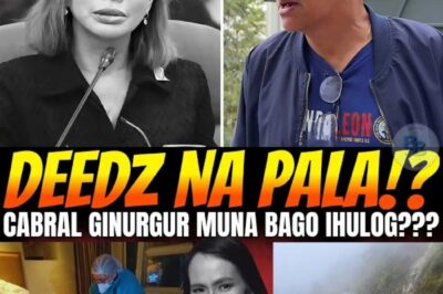 NAKAKILABOT! Huling Sandali ni Catalina Cabral sa CCTV: Kausap ang Proponent Bago Mahulog sa 30-Metro Bangin – Sino ang May Kinalaman sa Misteryosong Pagkamatay?