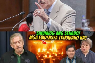 SINUNOG O NASUNOG? ANG GABI NG KAGULUHAN, ANG MGA EBIDENSYANG NAGPAPAKULO SA PUBLIKO, AT ANG MAINIT NA BANGGAAN NI PRO MALOU AT FALCIS