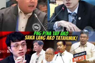 Eli SanFernando Tumindig Para Ipagtanggol si Congress Meow Sa Isang Kontrobersyal na Isyu ng Kabet