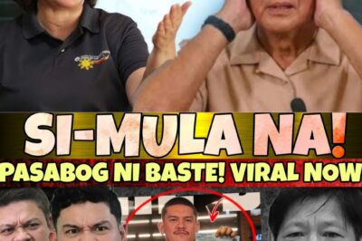 Tahimik Noon, Mapanganib Ngayon: Ang Lihim ni BASTE na Yumanig sa Bayan