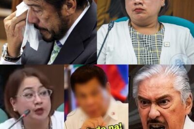 Sarah Discaya Nagsalita Na: Sino ang Tunay na Ulo sa Likod ng Flood Control Scandal?