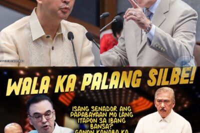 “Wala Kang Silbe Jan!” — Sagutan nina Cayetano, Bato at Sottong Ikinalat ang Gulo