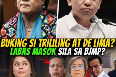 “Bungad ng Katotohanan: Ang Lihim na Koneksyon nina Trillanes, De Lima, at Ramil Madiaga — Isang Thriller na Huwad sa Tunay na Buhay”