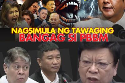 “TOTOO ANG BIBLIA!? Ang Hiwaga sa Likod ng Paratang Kay PBBM – Isang Kuwentong Huwad Pero Nakakakilabot!”