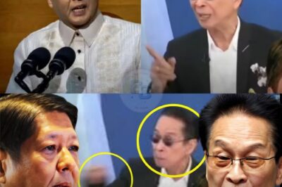 Gumuho ang pader ng pagdududa! Ang dating Chief Presidential Legal Counsel ni Duterte, si Atty. Sal Panelo