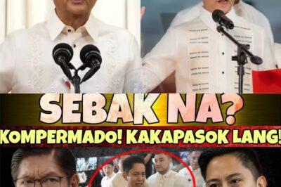 Pumutok ang Constitutional Crisis sa gitna ng bilyon-bilyong korapsyon! Ang akusasyong budget insertion laban kina