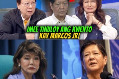 Butata sa Senado: Mainit na Sagutan nina Imee Marcos at Rodante Marcoleta na Umantig sa Buong Bansa
