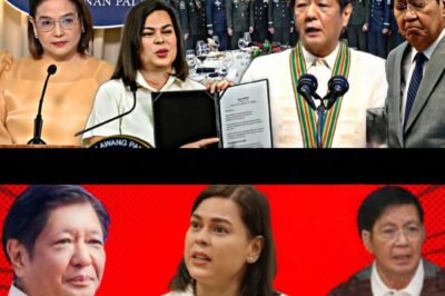 HALA! PALASYO SA GITNA NG BAGYO: ISANG KATHANG-ISIP NA KUWENTO NG GALIT, LIHIM AT BIGLAANG EMERGENCY MEETING