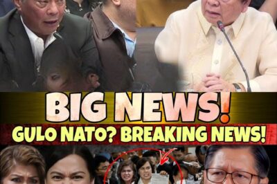 SA-WAKAS! MATINDING PASABOG SA SENADO! IMEE AT MARCOLETA, NASA GITNA NG ISANG LIHIM NA NAGPAGULAT SA BUONG BANSA!