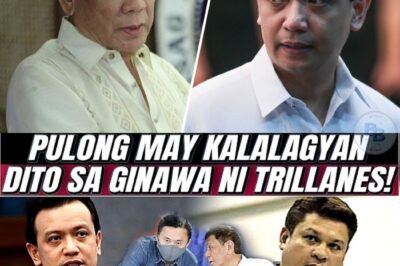 ICI Hindi Nakalusot Kay Trillanes: Maka-Duterte Pala!