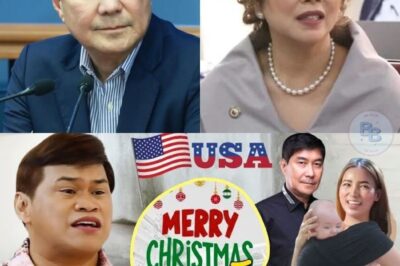 Sen. Raffy Tulfo, Namataan sa Amerika Kasama ang Isang Vivamax Artist at Isang Sanggol—Ano ang Totoo?