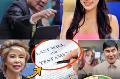 Huling Habilin ni Sen. Raffy Tulfo: Chelsea Ylore nga ba ang May Pinakamalaking Bahagi?