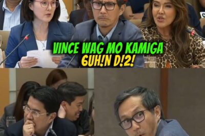 SEN CAYETANO HARAPANG SINUPALPAL SI VINCE DIZON, IMEE MARCOS NAGBITIW NG MATALIM NA PANANALITA—ISANG TAGPO NA YUMANIG SA BULWAGAN NG KAPANGYARIHAN