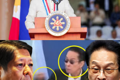 NAKAKAKILABOT NA REBELASYON! PBBM, BINANATAN NA?! MISTERYESONG PAGKILOS SA LIKOD NG PANGULO, NAHULI SA CAMERA! KATAPUSAN NA BA NG PAGKAKAISA?!