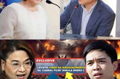BAGO PA TULUYANG MASIRA ANG GOBYERNO Ni PBBM, NAKITA NA ANG DIRTY PLAY Ni LEVISTE?!