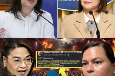 HINDI AKALAIN NI VP SARA NA GANITO KATALINO SI USEC. CLAIRE CASTRO!