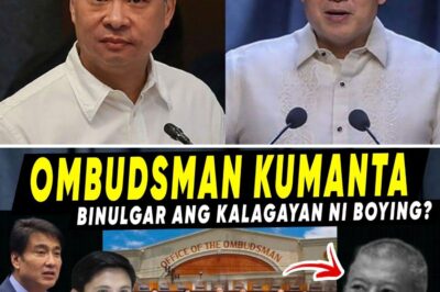 TOTOONG KALAGAYAN: Karma Nga Ba ang Sumapit kay Remulla? Mga Rebelasyong Gumigising sa Publiko sa Likod ng DOJ at Ombudsman!