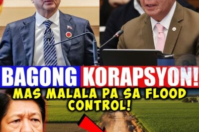 Hindi na ito simpleng overpricing—ito ay lantad na pandaraya!