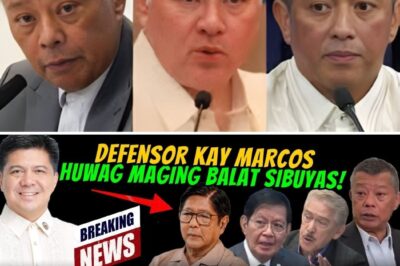 POLITICAL EXPLOSION: REMULLA ‘BASHED’ SA SOCIAL MEDIA; LACSON AT SOTTO, NABISTO SA ‘PROTECTION SCHEME’ SA SENADO?