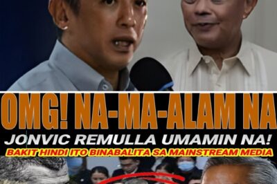 MISTERKONG ‘SILENCE’ NI OMBUDSMAN REMULLA, BINASAG NG KANYANG KAPATID AT OFFICE OF THE OMBUDSMAN; ‘SINIGANG’ ALMUSAL, PATUNAY NA BUHAY?