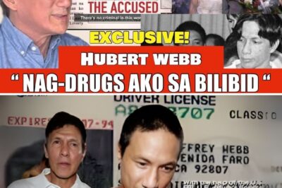 15 TAONG NINAKAW! Ang Bagong Buhay ni Hubert Webb Matapos Makalabas ng Bilibid: May Galit Pa Ba Siya sa Sistema?