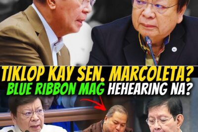 MARCOLETA VS. LACSON: ANG SHOWDOWN SA BLUE RIBBON SA JANUARY 19! SINO NGA BA ANG “TIKLOP”?