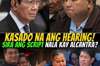 SIRA ANG SCRIPT? HENRY ALCANTARA, BUMALIKTAD NGA BA? BLUE RIBBON HEARING SA JANUARY 19, KASADO NA!