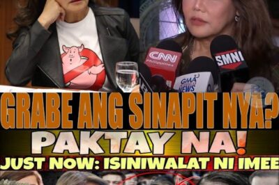 LAGOT! IMEE BINUKING ANG LIHIM NA GALAW NI TAMBA NA UMANO’Y TATAMA KAY INDAY