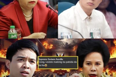 “BONUS DAW?” Isang Viral na Video ni Miriam Santiago ang Biglang Sumupalpal kay Leviste, at Nagliyab ang Usapang MOOE!