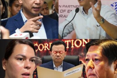 CHECKMATE SA MALACAÑANG: Ang Tahimik na End Game ni Marcos na Yumanig sa Buong Pulitika ng Pilipinas