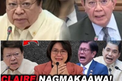 ANG ARAW NA LUMUHOD SI CLAIRE: ANG VIDEO NA GUSTONG IPATABON NG ISANG SENADOR