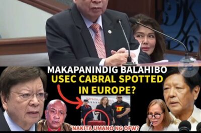 PBBM Nataranta! Ang Pasabog ni Marcoleta na Gumising sa Buong Senado – Isang Kaso ng Skandalo at Lihim na Pagtatalo!