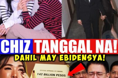 Isang donasyon lang—ngunit bilyon-bilyong proyekto ang biglang sumulpot! Mula sa mga kontratang daang-milyon, biglang lumobo ang halaga matapos magbigay ng pondo ang isang kumpanya sa kampanya.