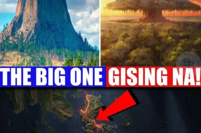 Hindi na babala—ito na ang nalalapit na bangungot ng buong bansa! Ibinunyag ng PHIVOLCS ang nakakakilabot na senaryo ng “The Big One,” ang Magnitude 7.2 na lindol mula sa Marikina Valley Fault na matagal nang hinihintay… at kinatatakutan. Sa loob lamang ng ilang segundo, maaaring gumuho ang libu-libong gusali, umabot sa 34,000 ang maaaring mamatay, at higit 100,000 ang masugatan.