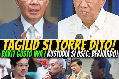 BONOAN NAG-RESBAK?! “MAY JETLAG PA AKO, WAG KANG MAGULO!” PING LACSON, HINDI KUMAGAT SA DAHILAN! TORRE, YARI KAY PINKY WEBB?!
