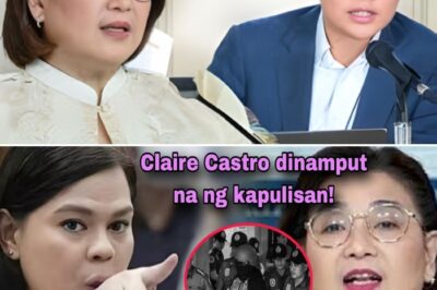 BREAKING NEWS: ATTY. CLAIRE CASTRO, DINAMPOT NA NG PNP-CIDG! PBBM, HINDI NAKIALAM! LEANDRO LEVISTE, NAKAMIT ANG HUSTISYA!