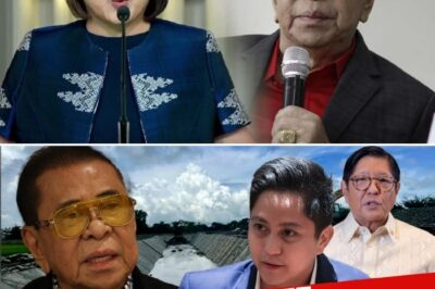 CHAVIT SINGSON, BINIRA ANG IL0C0S NORTE! “WALANG MATINONG PROYEKTO!” FLOOD CONTROL SCAM, GHOST PROJECTS, ATBP. BINISTO!