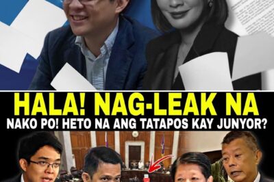 BREAKING NEWS: MARCOS JR., NAHAHARAP SA KAUNA-UNAHANG IMPEACHMENT! “CABRAL FILES” NAG-LEAK NA?! PWESTO NI JUNYOR, NANGANGAILANGAN NGA BA?