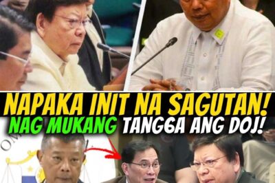 “NASAAN ANG PERA?!” MARCOLETA, PINAIYAK ANG “ASO” NI REMULLA! PAGBISTO SA BILYON-BILYONG PONDO, NAGRESULTA SA TENSIYON SA SENADO!