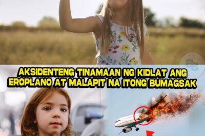 Aksidenteng Tinamaan ng Kidlat ang Eroplano pero ito ang Ginawa ng Batang Babae!